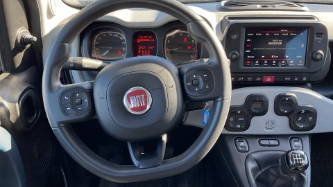 FIAT PANDA CITY CROSS 1.0 2022